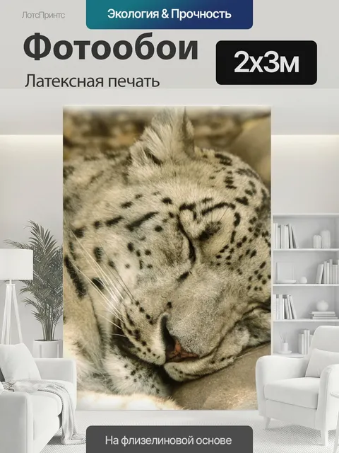 200 × 300 см · Латексная печать