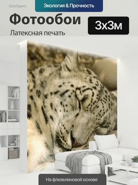 300 × 300 см · Латексная печать