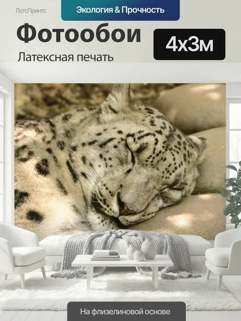 400 × 300 см · Латексная печать