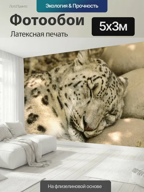 500 × 300 см · Латексная печать