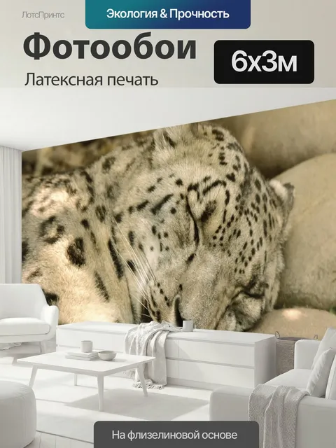 600 × 300 см · Латексная печать