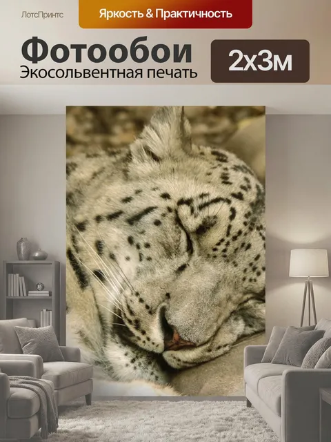200 × 300 см · Экосольвентная печать