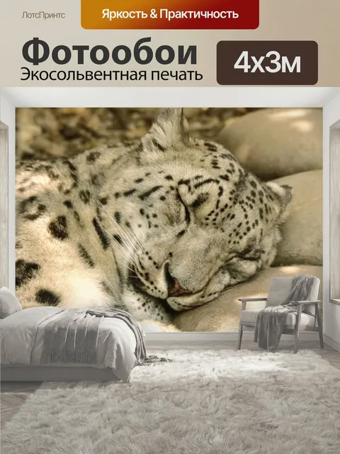 400 × 300 см · Экосольвентная печать