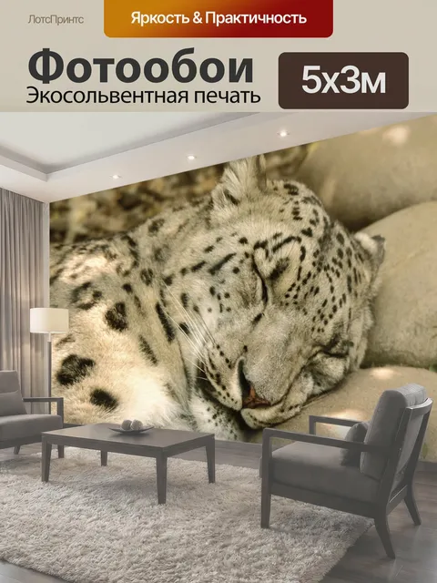 500 × 300 см · Экосольвентная печать