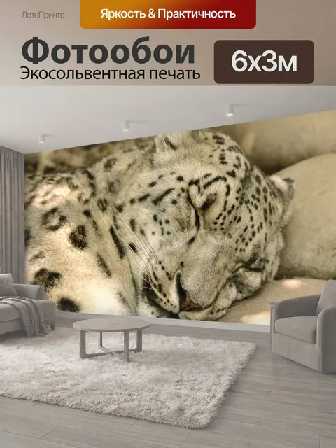 600 × 300 см · Экосольвентная печать