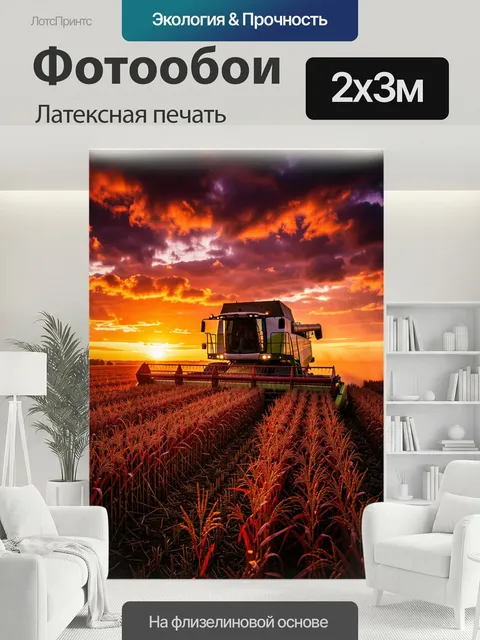 200 × 300 см · Латексная печать