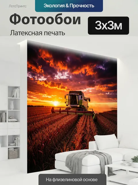 300 × 300 см · Латексная печать