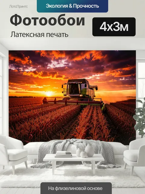 400 × 300 см · Латексная печать