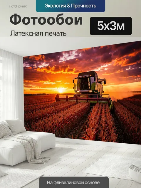 500 × 300 см · Латексная печать