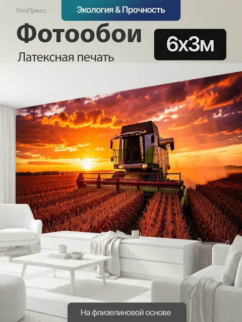 600 × 300 см · Латексная печать