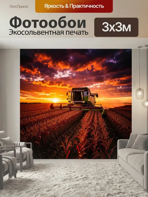 Фотообои Комбайн в поле на закате. Сельскохозяйственная техника убирает урожай среди золотистых колосьев на фоне драма…