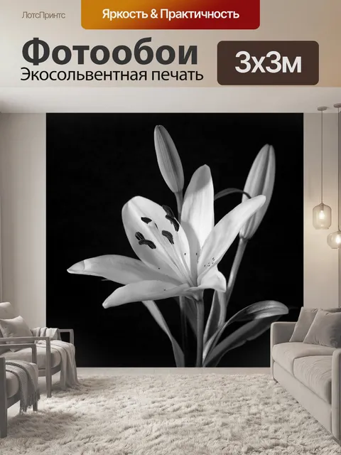 Фотообои Лили, лилии, цветок