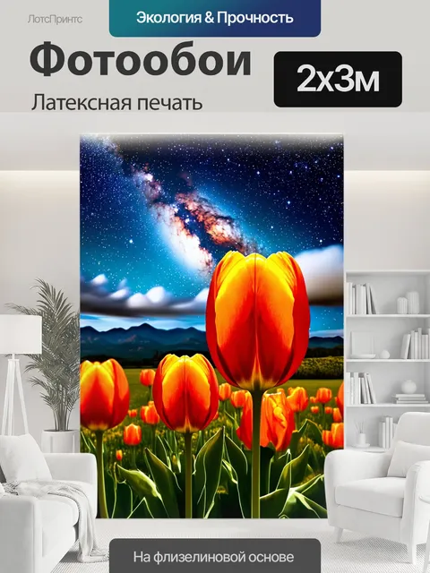 200 × 300 см · Латексная печать