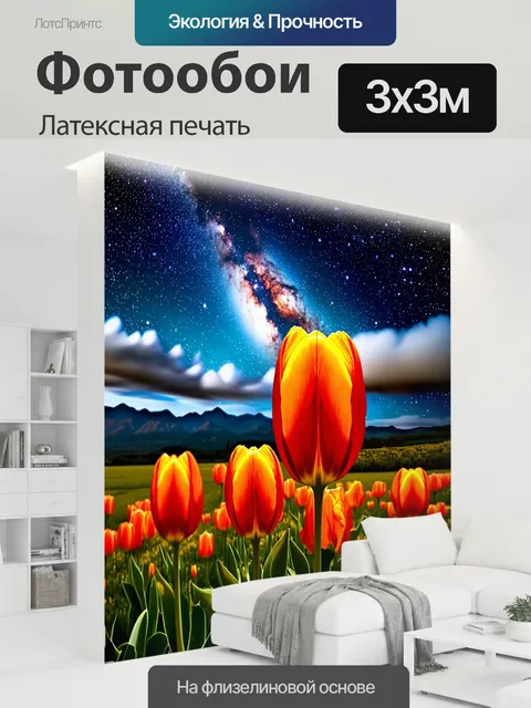300 × 300 см · Латексная печать