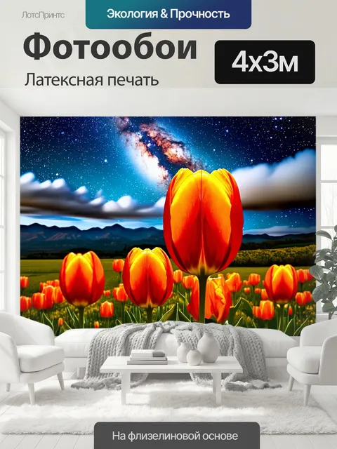 400 × 300 см · Латексная печать