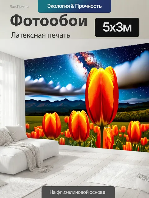 500 × 300 см · Латексная печать
