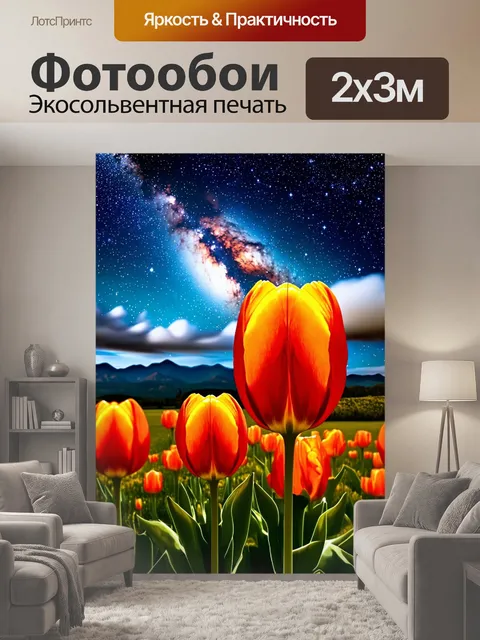 200 × 300 см · Экосольвентная печать
