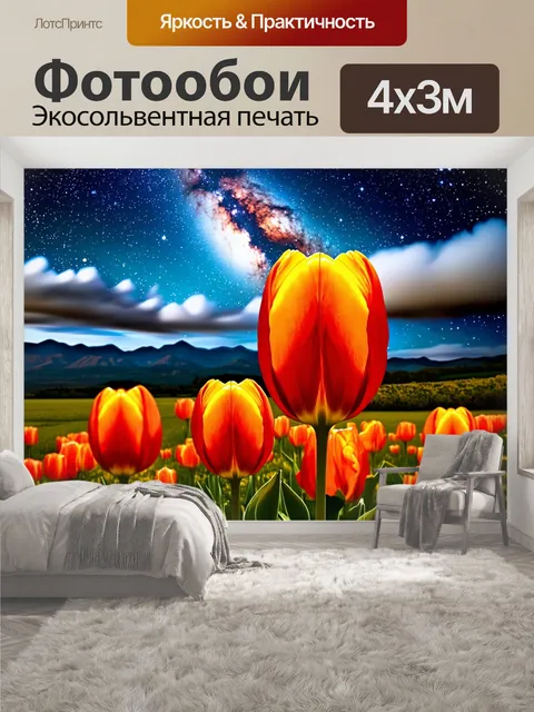 400 × 300 см · Экосольвентная печать