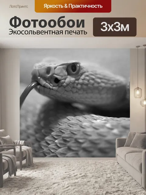 Фотообои Фауна, гремучая змея, животный мир