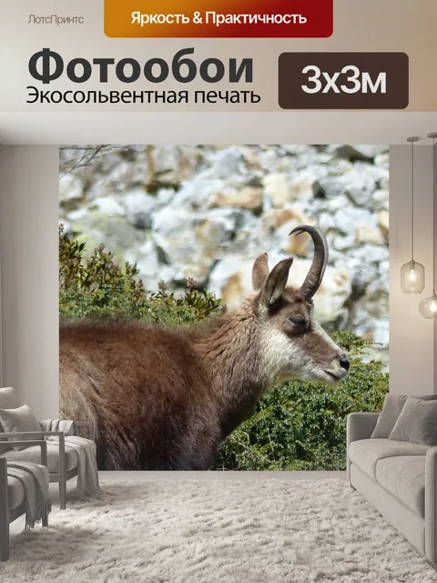 Фотообои Животные, природа, фауна
