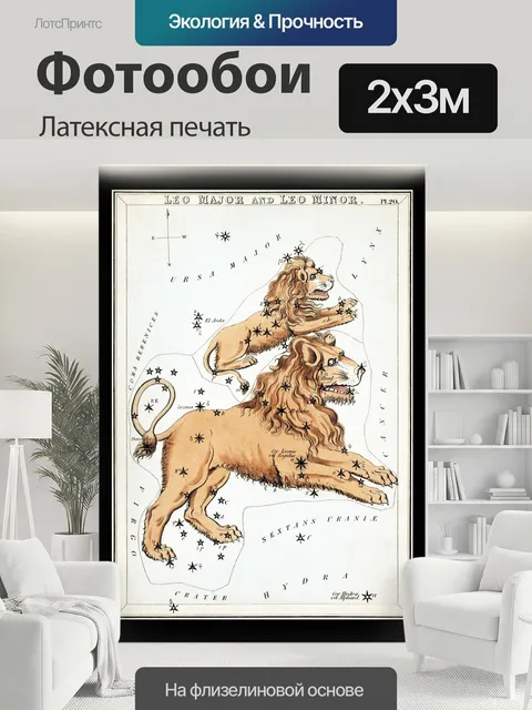 200 × 300 см · Латексная печать
