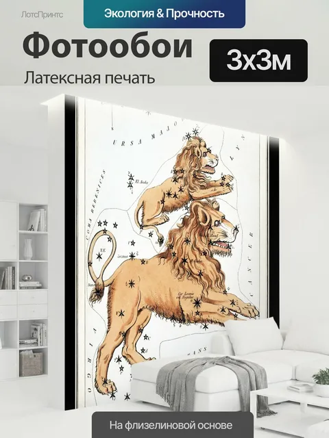 300 × 300 см · Латексная печать