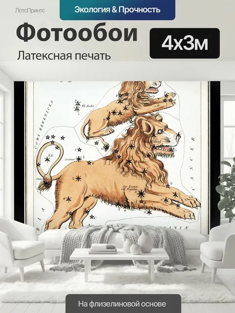 400 × 300 см · Латексная печать
