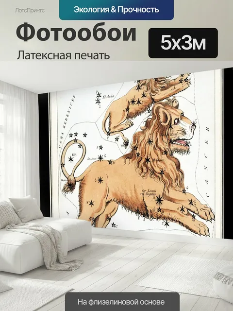 500 × 300 см · Латексная печать
