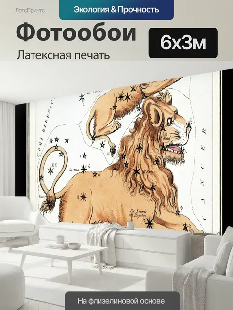600 × 300 см · Латексная печать