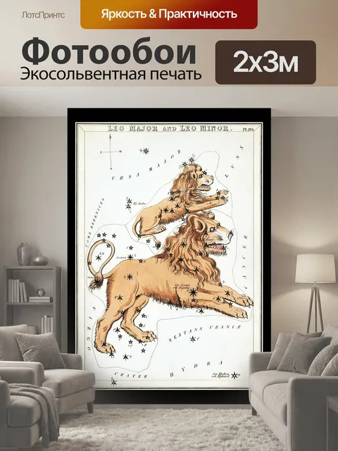 200 × 300 см · Экосольвентная печать