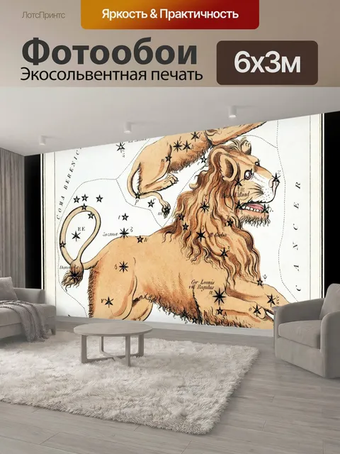 600 × 300 см · Экосольвентная печать