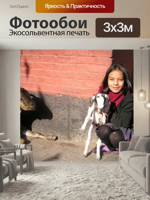 Фотообои Непал, козел, овец