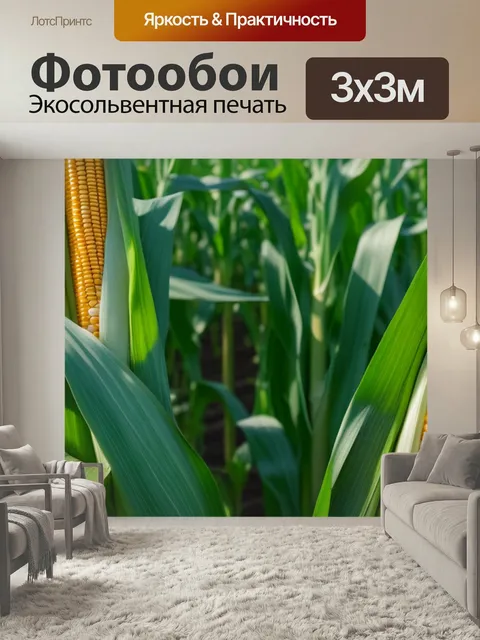 Фотообои Пейзаж с колосьями
