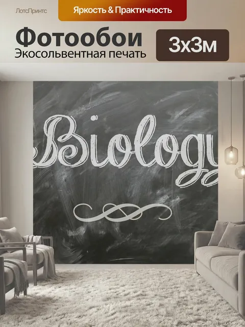 Фотообои Биология, плакат, предмет