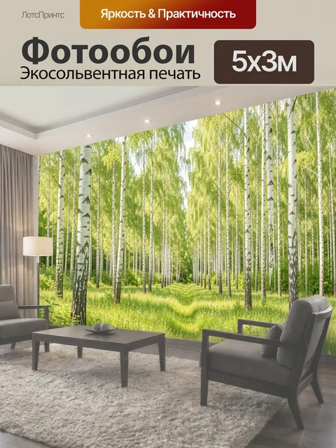 Фотообои Березовая роща в солнечный день