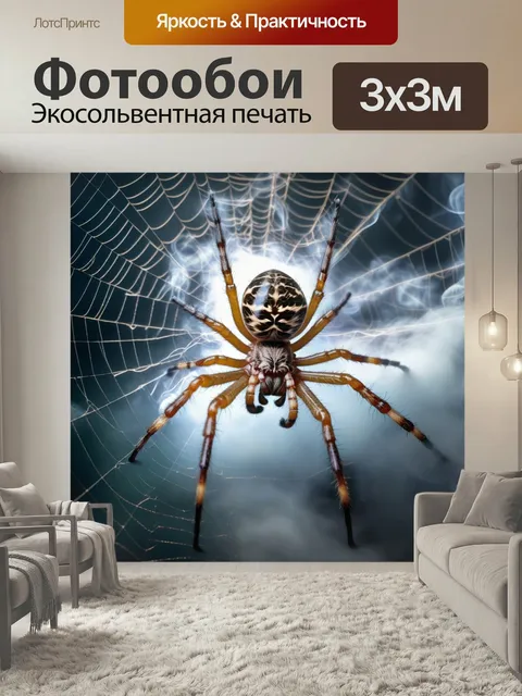 Фотообои Паук, сеть, лапы туман паутина
