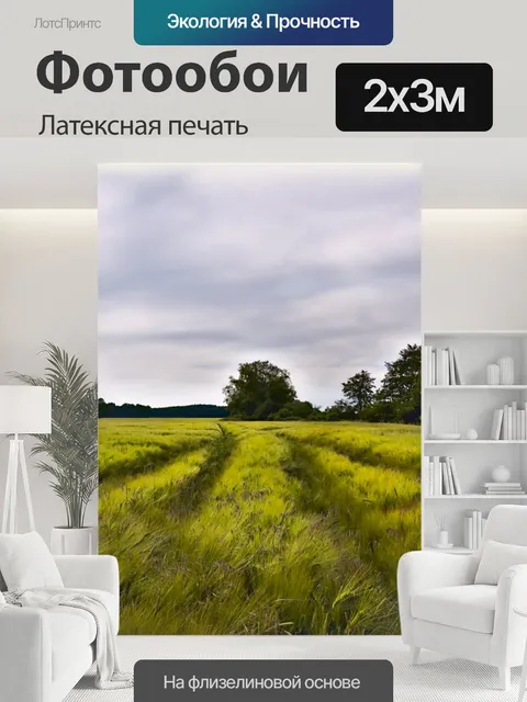 200 × 300 см · Латексная печать