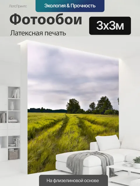 300 × 300 см · Латексная печать
