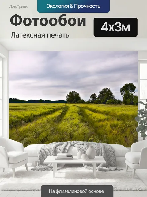 400 × 300 см · Латексная печать