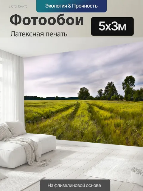 500 × 300 см · Латексная печать