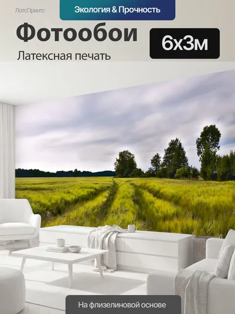 600 × 300 см · Латексная печать
