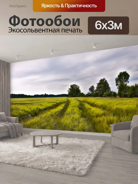 600 × 300 см · Экосольвентная печать