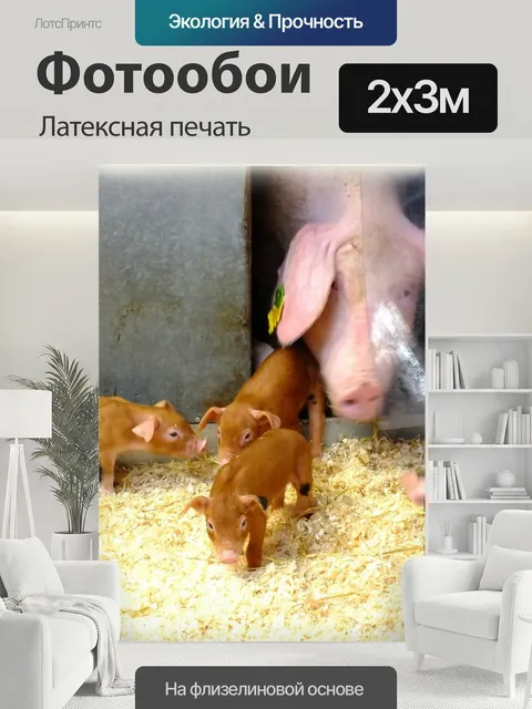 200 × 300 см · Латексная печать