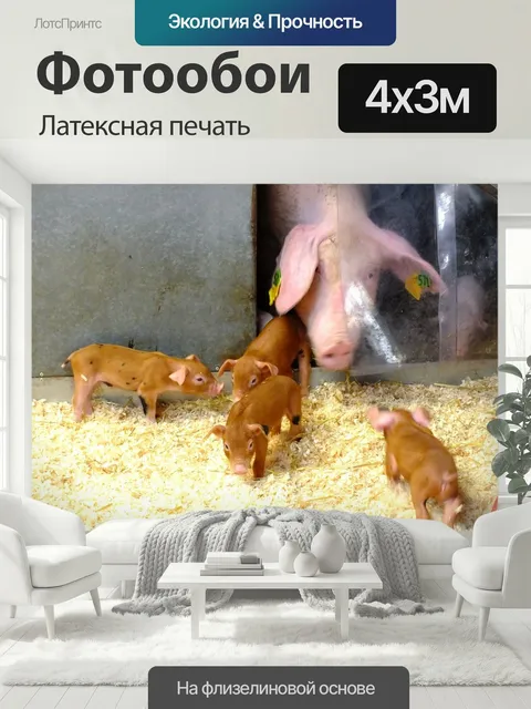 400 × 300 см · Латексная печать