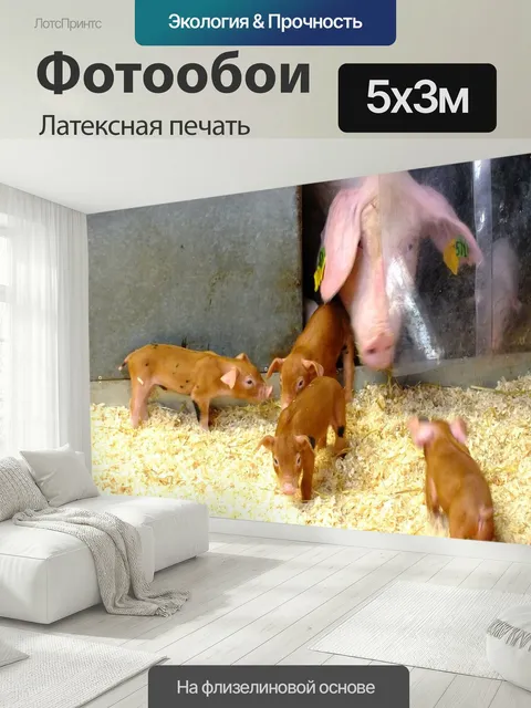 500 × 300 см · Латексная печать