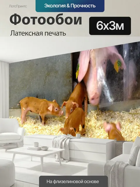 600 × 300 см · Латексная печать