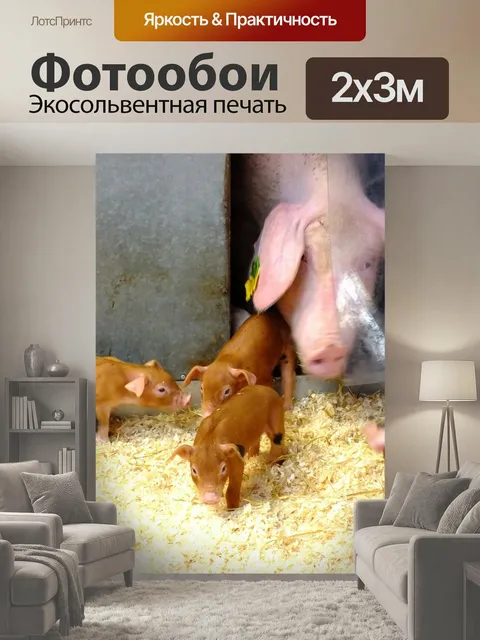 200 × 300 см · Экосольвентная печать