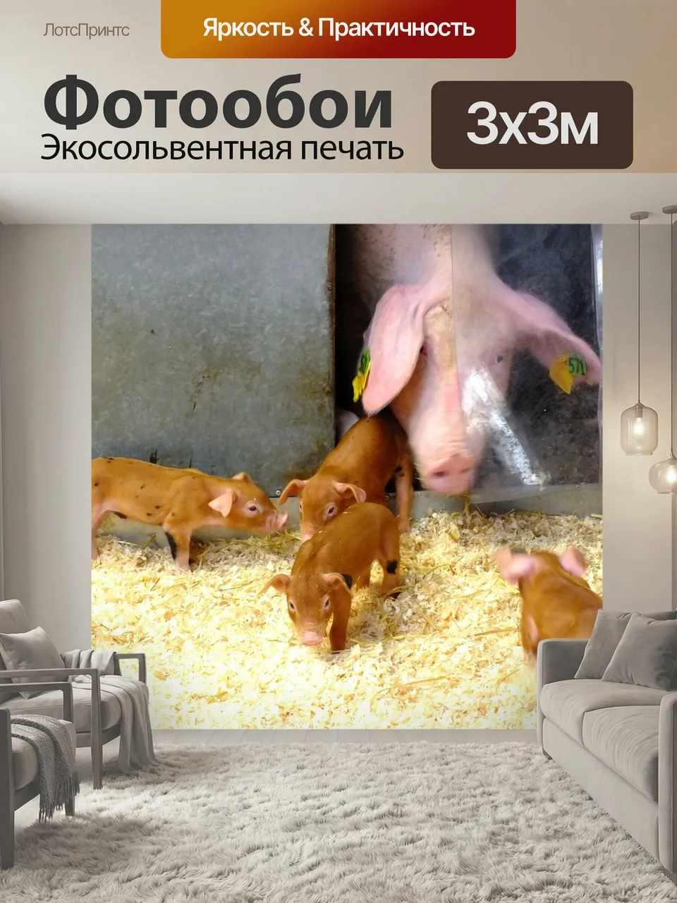 Фотообои Поросята, свинья, животное