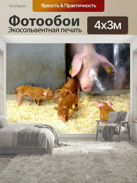 400 × 300 см · Экосольвентная печать