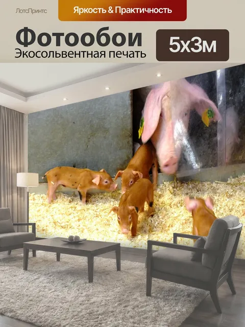 500 × 300 см · Экосольвентная печать